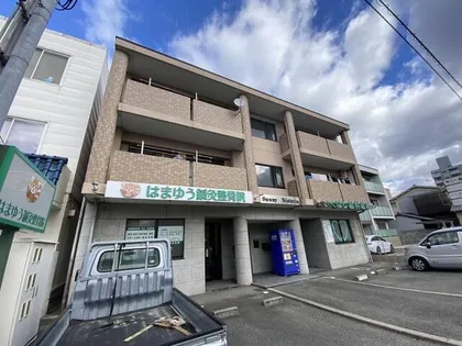 サニーニシウラの画像