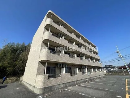M I CRUISEの画像