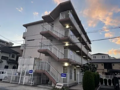 ドミールの画像