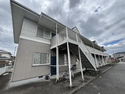 AMBER PEARLの画像