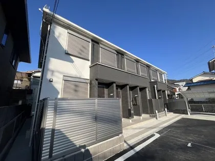 ステラータの画像