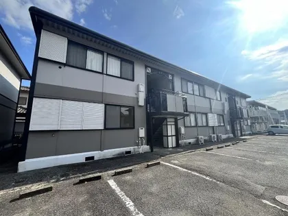 サンライフサルビアの画像