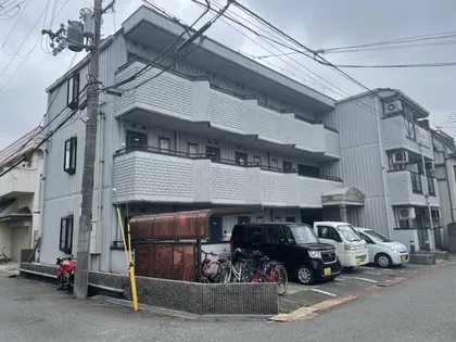 メトレス野里の画像