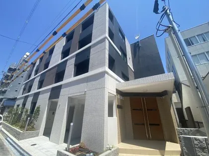 ミステルの画像