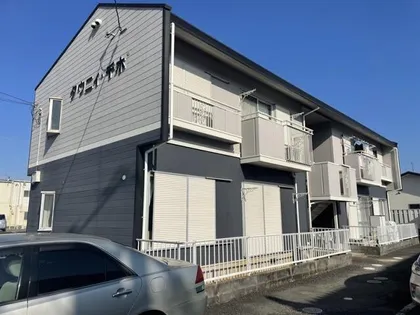 タウニィ千木の画像