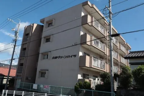 丸和グリーンハイツの画像