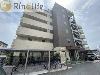 プランドールの画像