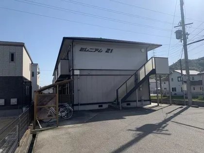 ミレニアム21の画像