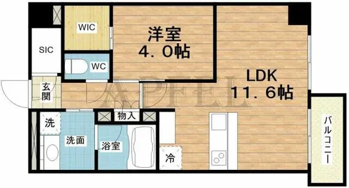 LEGALAND+難波南【3階】の間取り