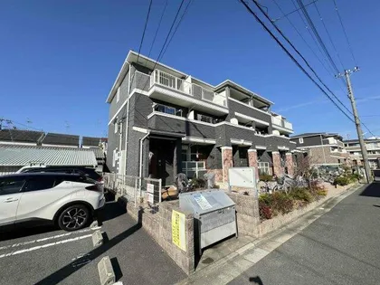 ストレリチア オーガスタの画像