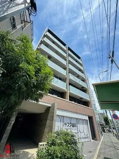 メルシー ティーの画像