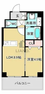 エルヴィータ箱崎【10階】の間取り