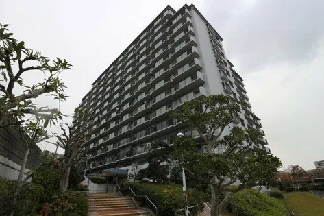 ルネ須磨の画像