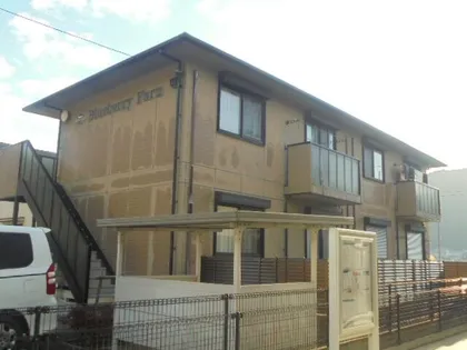 ブルーベリーファームの画像