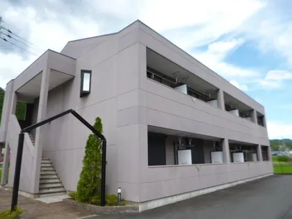 ワン ピースの画像