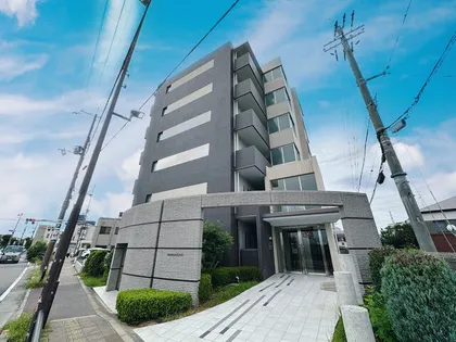 カンマキーノの画像