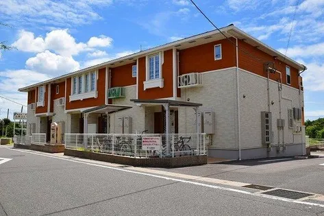 ルピナスAの画像