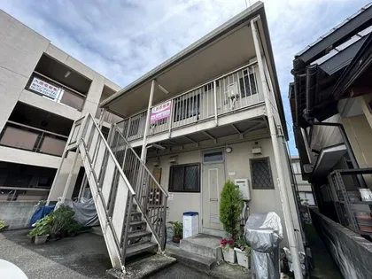 プリムローズの画像