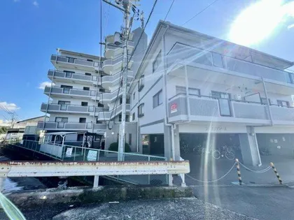 ファイブグレースの画像