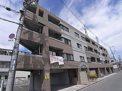 ソル レヴェンテの画像