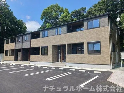 プラシード Nの画像