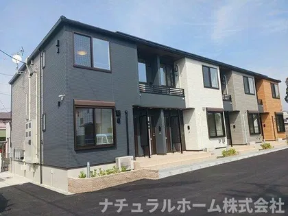 グルービーの画像