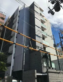 STELLA 白銀の画像