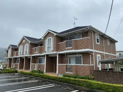 ブライトメアリーⅤの画像