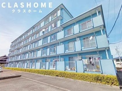 サンライズベルの画像