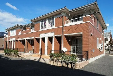 パピロンの画像