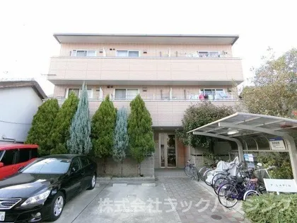 ピ ラパンの画像