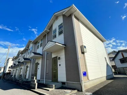 サラセニアの画像