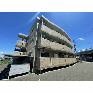 MAGNOLIA IIの画像