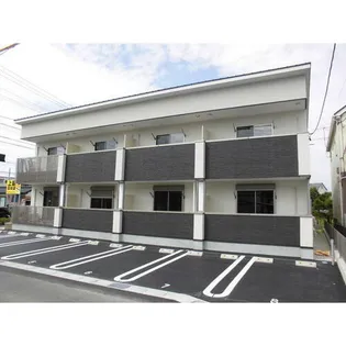 フェリスの画像