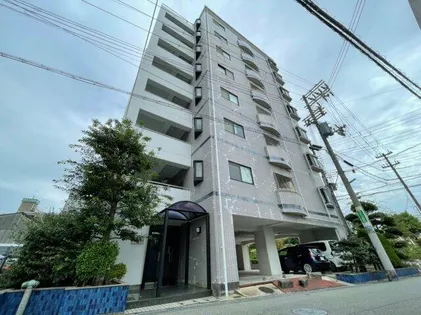 サンアミニティの画像