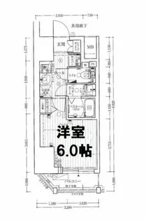 エステムコート心斎橋central【12階】の間取り