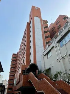 ロマネスク大名の画像