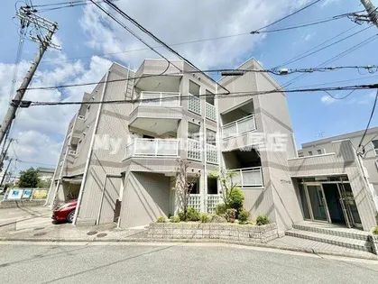 サウスフォート林の画像