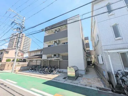 プランドール MSの画像