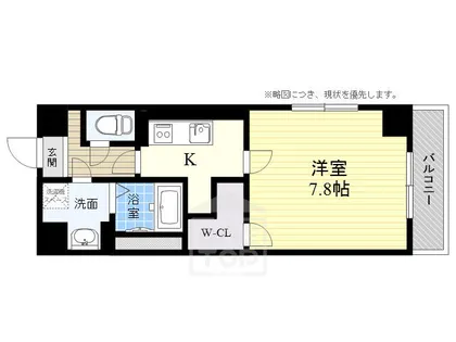 フィデスコート1【1階】の間取り