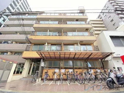 シャイニングスターの画像