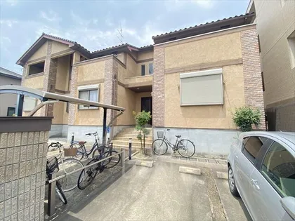 アネスティコートの画像