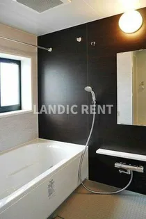 ニューガイア天神北【3階】の風呂