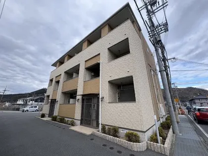 フィレール デュ トラジャVIIIの画像