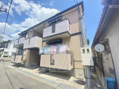 レオコートの画像