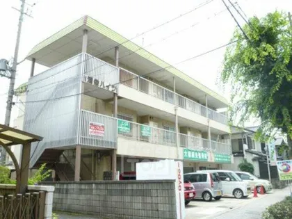 ハイシャトー大翔の画像