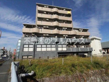 エクシードⅦの画像