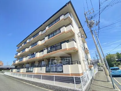 シャロームDの画像