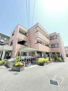 サン フレイム【1階】の外観
