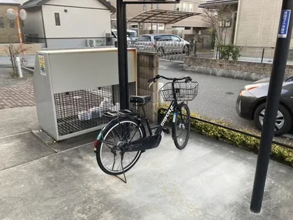 アリスティオAの画像